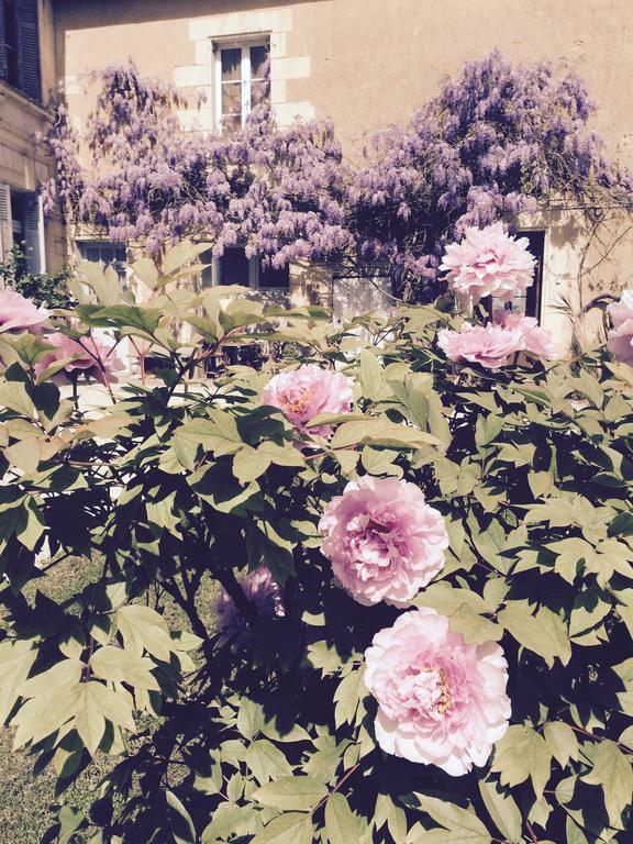 La Grande Maison Pas-de-Jeu ภายนอก รูปภาพ